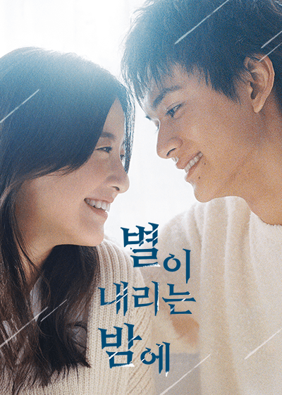 별이 내리는 밤에